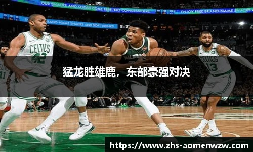 王中王资料