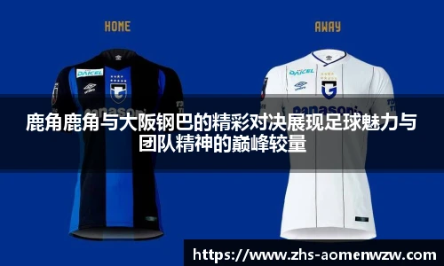 王中王资料